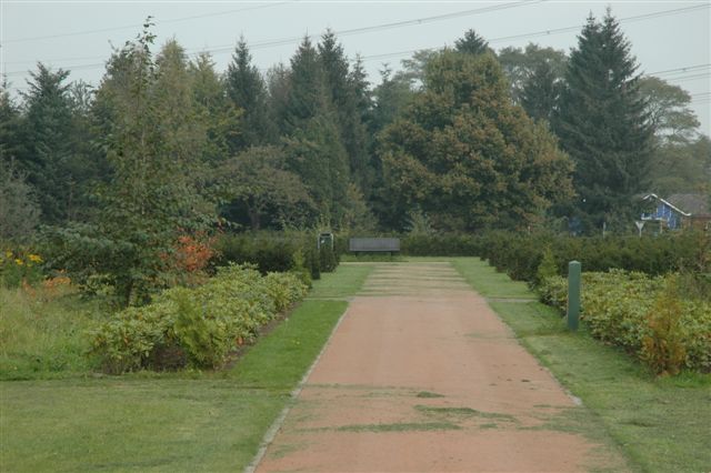 zandweg met gras en border aan de zijkanten