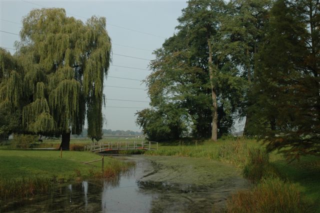 foto van een weide met sloot tussen bomen