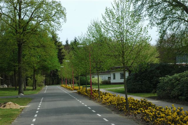 foto van weg met aan beide zijden fietsafbakening en bomen