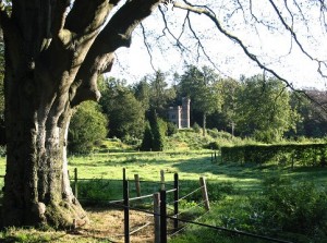 foto van parkweide